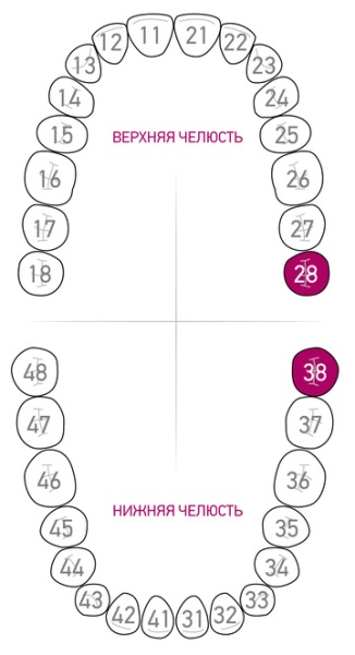 Кламп для коффердама Dentech (Япония) 138